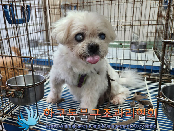 한국동물구조관리협회_411309202300447